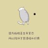 微光的头像