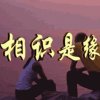 我好累诚实做人的头像