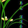 今生有约的头像