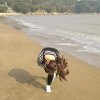 张敏的头像