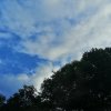 晨曦启明《退》的头像