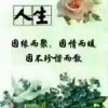 赠人玫瑰手留余香的头像
