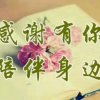 顺心如意的头像