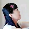 梦蝶的头像