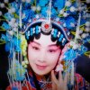 迎春的头像