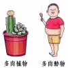 骆米的头像