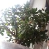 王洪新的头像