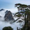 黄金年代的头像