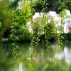 玉竹的头像