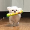 11的头像