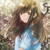 《粤音》《少花~勿礼》的头像