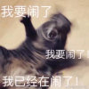 慕七七回来惹的头像