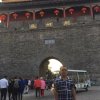 鑫鑫的头像