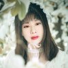 梦玖蓝色妖姬的头像
