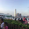 琴的头像