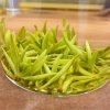  雪峰 飞马踏燕的头像
