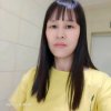 单只蝴蝶的头像