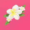 小公主《拒私信》的头像