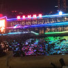 我听歌来了 的头像