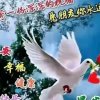红云的头像