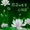 回忆的头像