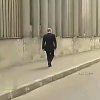 归去来兮的头像