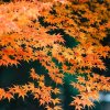 岁月无情的头像