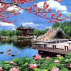 林姐的头像