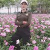 平淡的头像