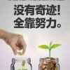 阳光雨露的头像