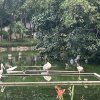 丽英的头像