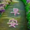 明天更美好的头像