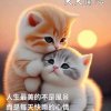 文子的头像
