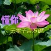 花开花落。的头像