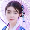 风没理由的吹的头像