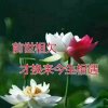 开心就好的头像