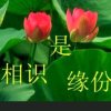 龙跃资深主唱HXQ的头像
