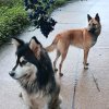 回忆有你就足够的头像