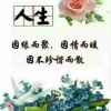 珍爱一生的头像