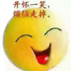 平淡的快乐的头像