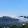 云淡风轻的头像