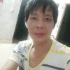何平的头像