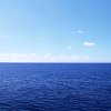大海的头像