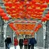 全新的头像