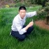 三羊开态的头像