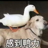 听音乐的头像