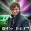 张张的头像