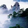 快乐每一天的头像
