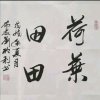 荷叶田田（退）的头像