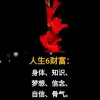 壹如既往的头像